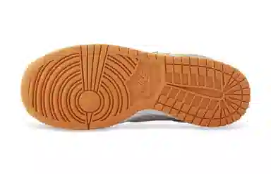 Nike Dunk Drippy Orange Street