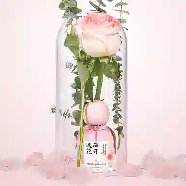 EDP 50ml