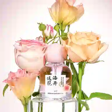 EDP 50ml