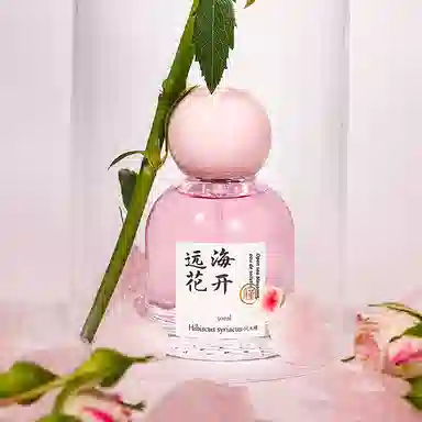 EDP 50ml