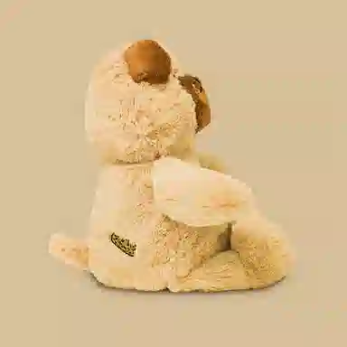 XTHOT x anown 20cm