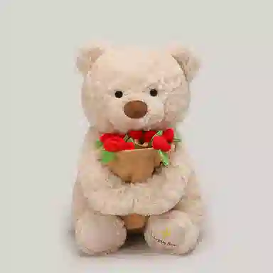 XTHOT 25cm38cm