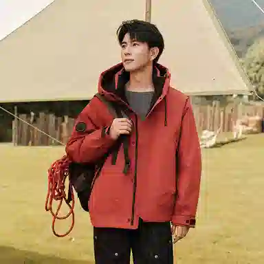 鸭鸭 新山系系列 纯色连帽厚款羽绒服 男女同款