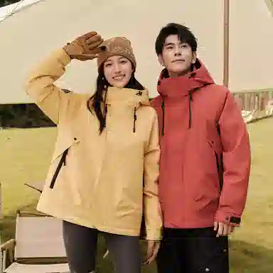 鸭鸭 新山系系列 纯色连帽厚款羽绒服 男女同款