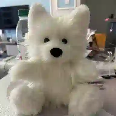 DIY 30cm