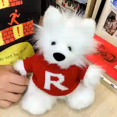 DIY 30cm