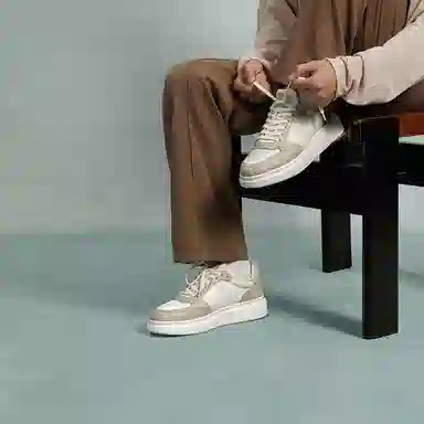 THOM WILLS Trainer