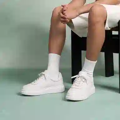 THOM WILLS trainer