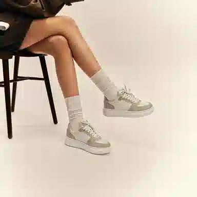 THOM WILLS Trainer