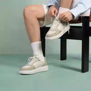 THOM WILLS Trainer