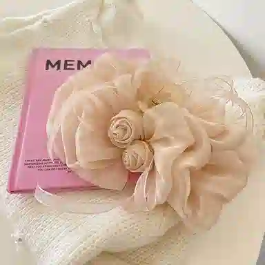 彤彤兔 玫瑰大号蝴蝶结飘带法式盘发鲨鱼夹后脑勺发卡头饰#好运 布艺 发夹 女款