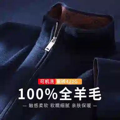 红豆 全羊毛精纺可机洗羊毛衫秋冬半高领毛衣打底衫半拉链上衣针织衫 男款