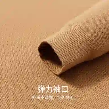 红豆 加厚保暖假两件衬衫领秋冬毛衣商务休闲内搭打底衫上衣针织衫 男款