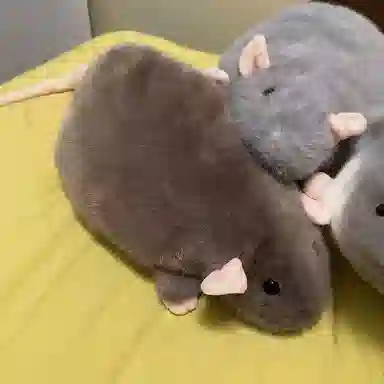 G.DUCKKIDS 35cm50cm70cm90cm