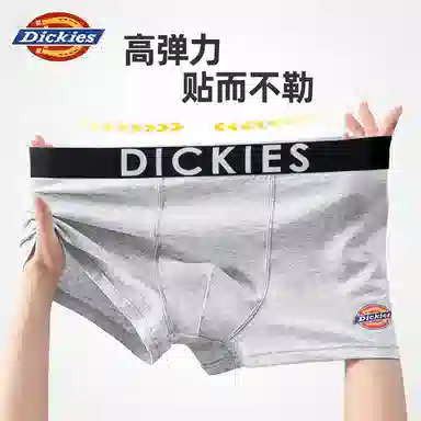 Dickies 10A95