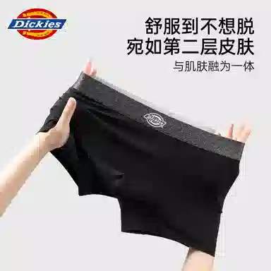 Dickies