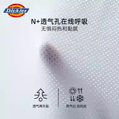 Dickies 3