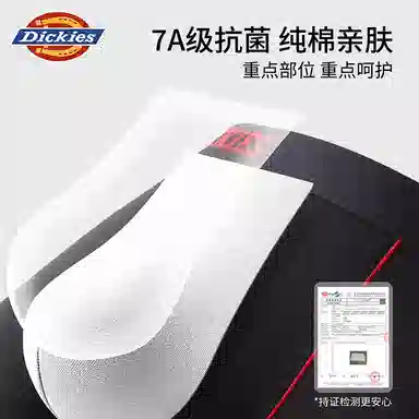 Dickies 3