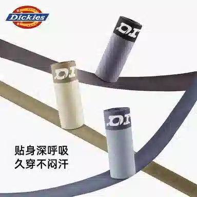 Dickies 3