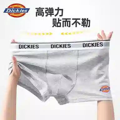 Dickies 10A95