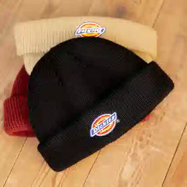 Dickies Beanie