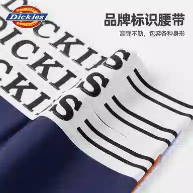 Dickies Arrow Shorts