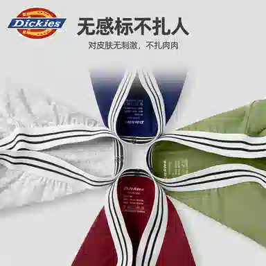 Dickies Arrow Shorts