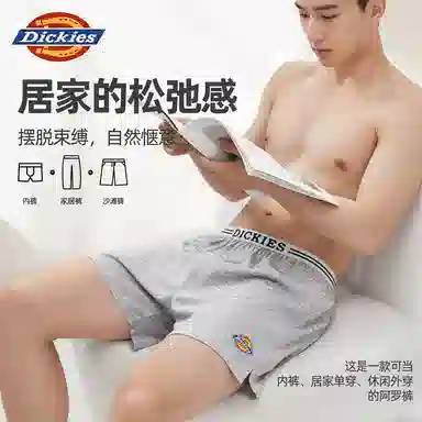 Dickies Arrow Shorts