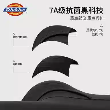 Dickies 3