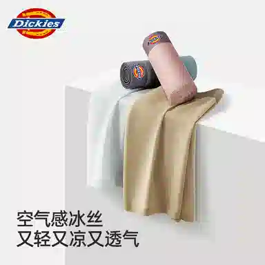 Dickies 3