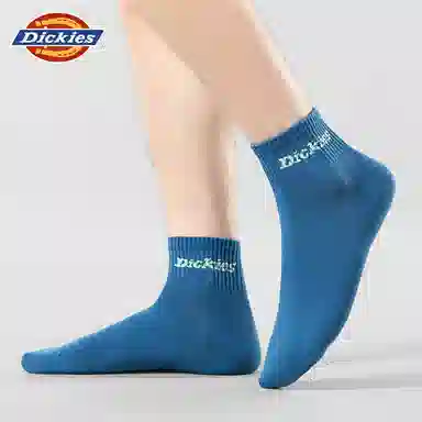 Dickies 10A