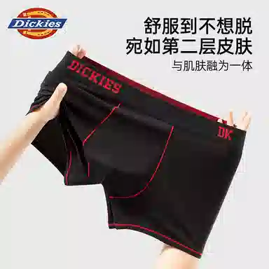 Dickies 3