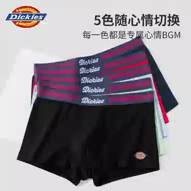 Dickies 10A