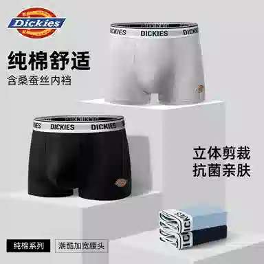 Dickies 10A95