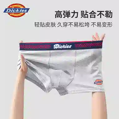 Dickies 10A