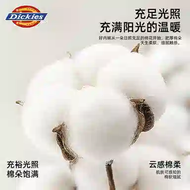 Dickies 10A Cotton Boxer Shorts