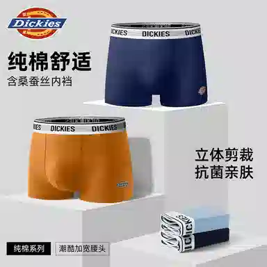 Dickies 10A95
