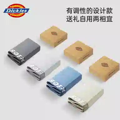 Dickies 3