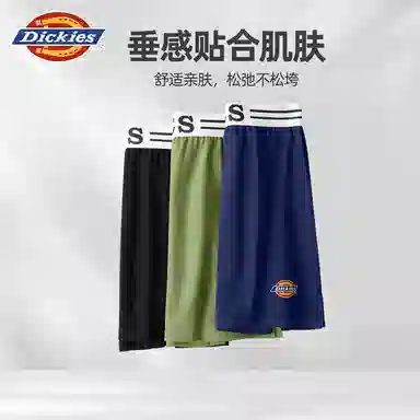 Dickies Arrow Shorts