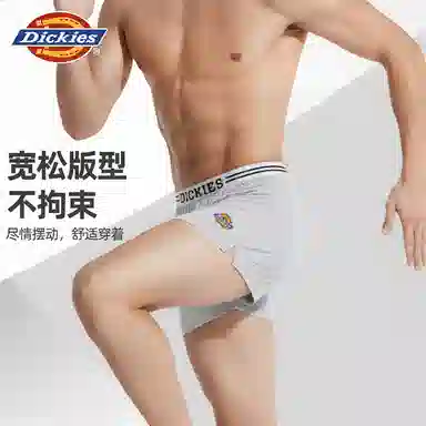 Dickies Arrow Shorts