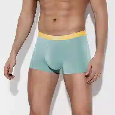 Dickies Seamless Boxer Brief Set