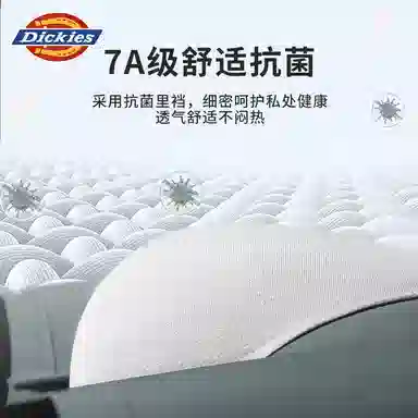 Dickies 7A
