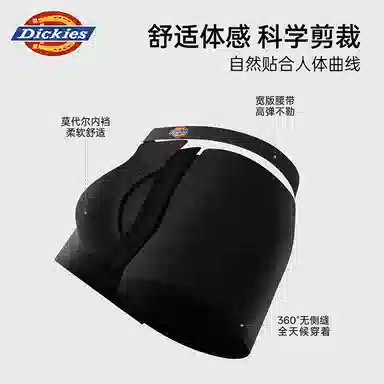 Dickies 3