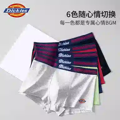 Dickies 10A