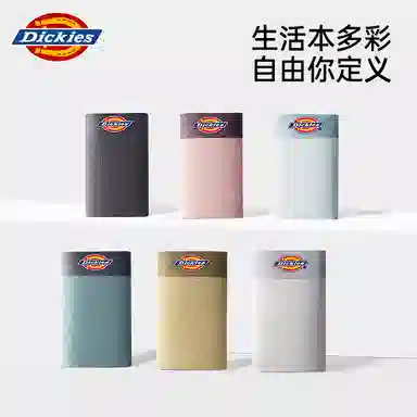 Dickies 3