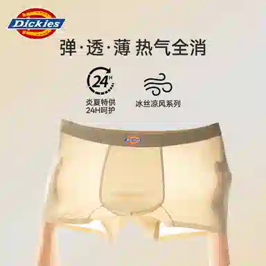 Dickies 3