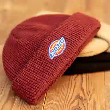 Dickies Beanie