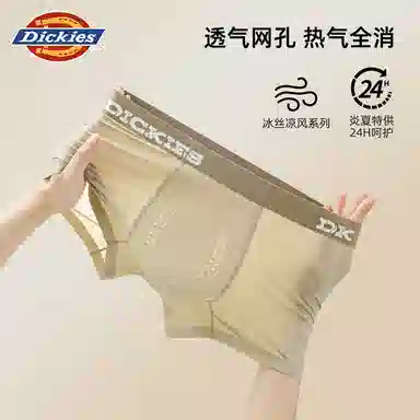 Dickies 3