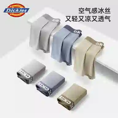 Dickies 3
