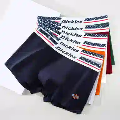Dickies 10A95PLUS
